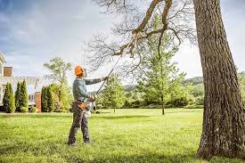 Best Tree Maintenance Programs  in Whispering Pines, NC