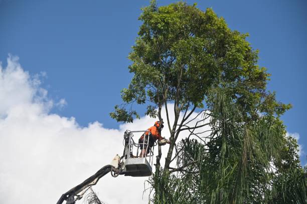 Mulching Services in Whispering Pines, NC